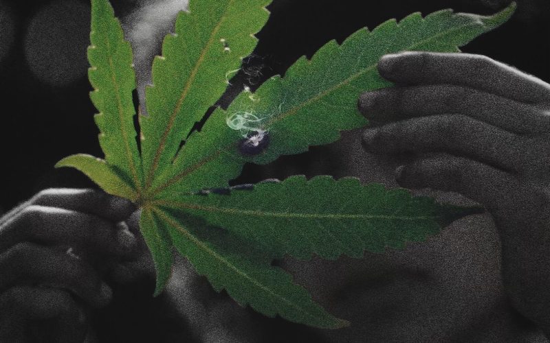 فيلم Grassland 2024 مترجم |